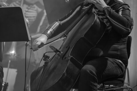 Konzertfotos von Accept And The Orchestra Of Death auf Symphonic Terror Tour 2019