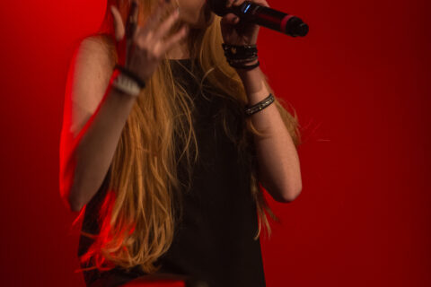 foodrock-festival-2017-Aeverium-028