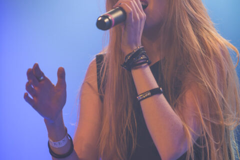foodrock-festival-2017-Aeverium-222