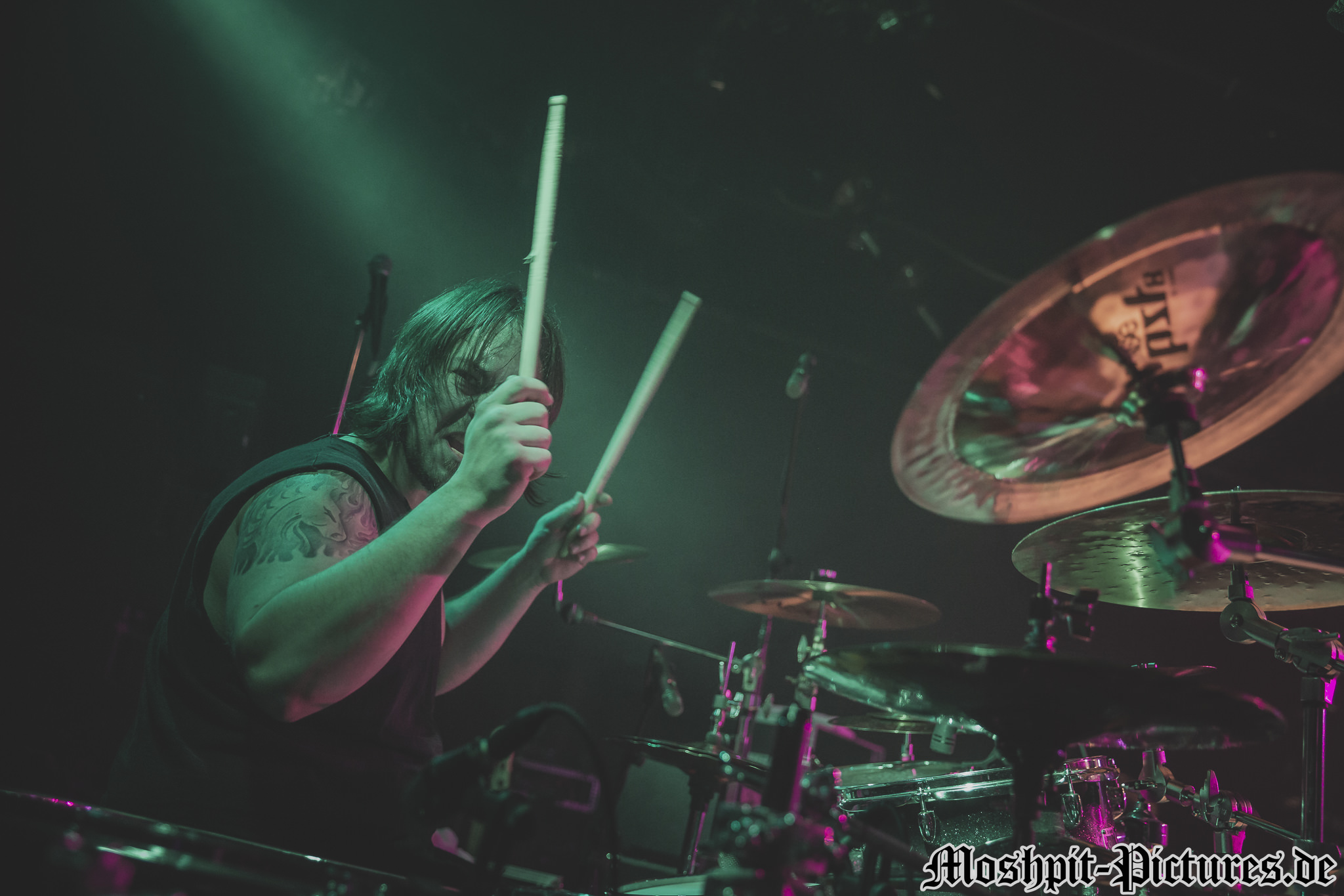 Almanac-Der-Hirsch-130217-257