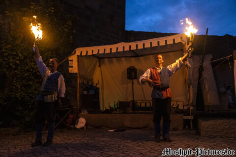 Konzertfoto von Basseltan & Orlando von Goudenhaven - Feuertanz Festival 2022