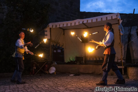 Konzertfoto von Basseltan & Orlando von Goudenhaven - Feuertanz Festival 2022