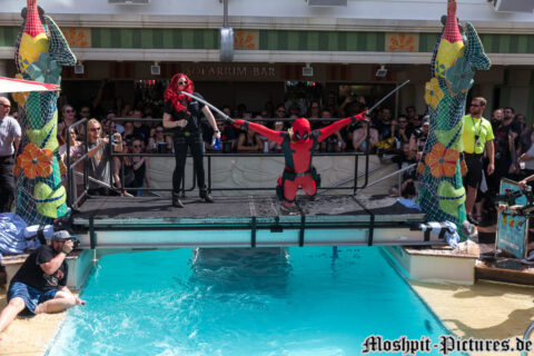 Belly Flop Contest
