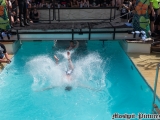 Belly Flop Contest