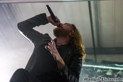 Dark Tranquility