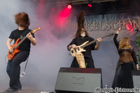 Dunkelschoen_FT2013_16