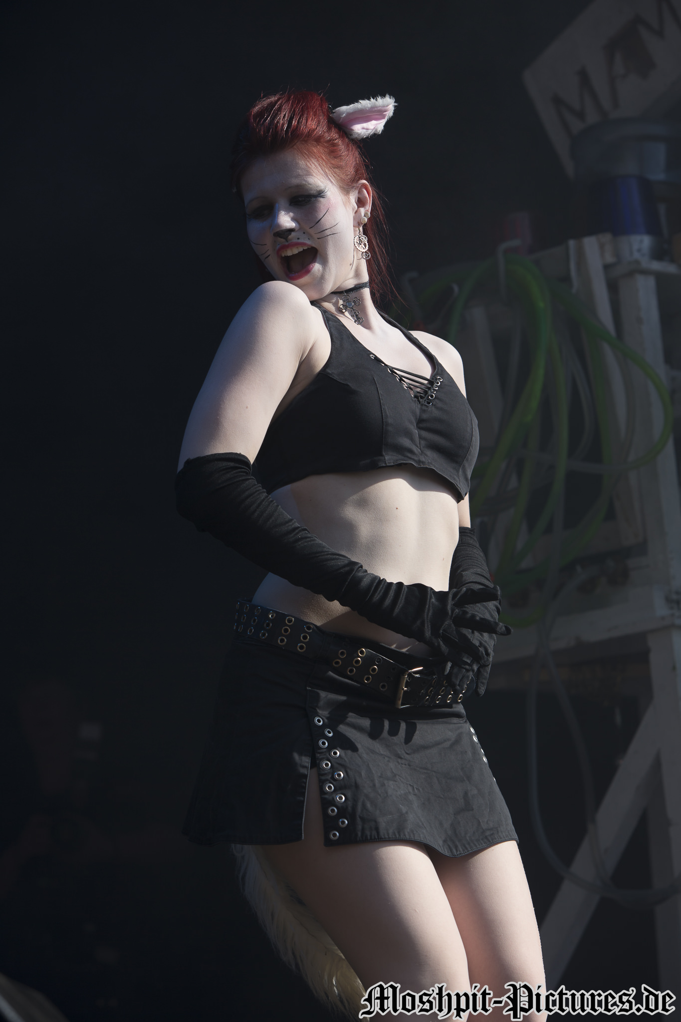 feuertanz-festival-2013-Feuerschwanz-154