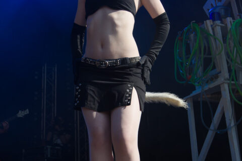 Feuerschwanz_FT2013_08