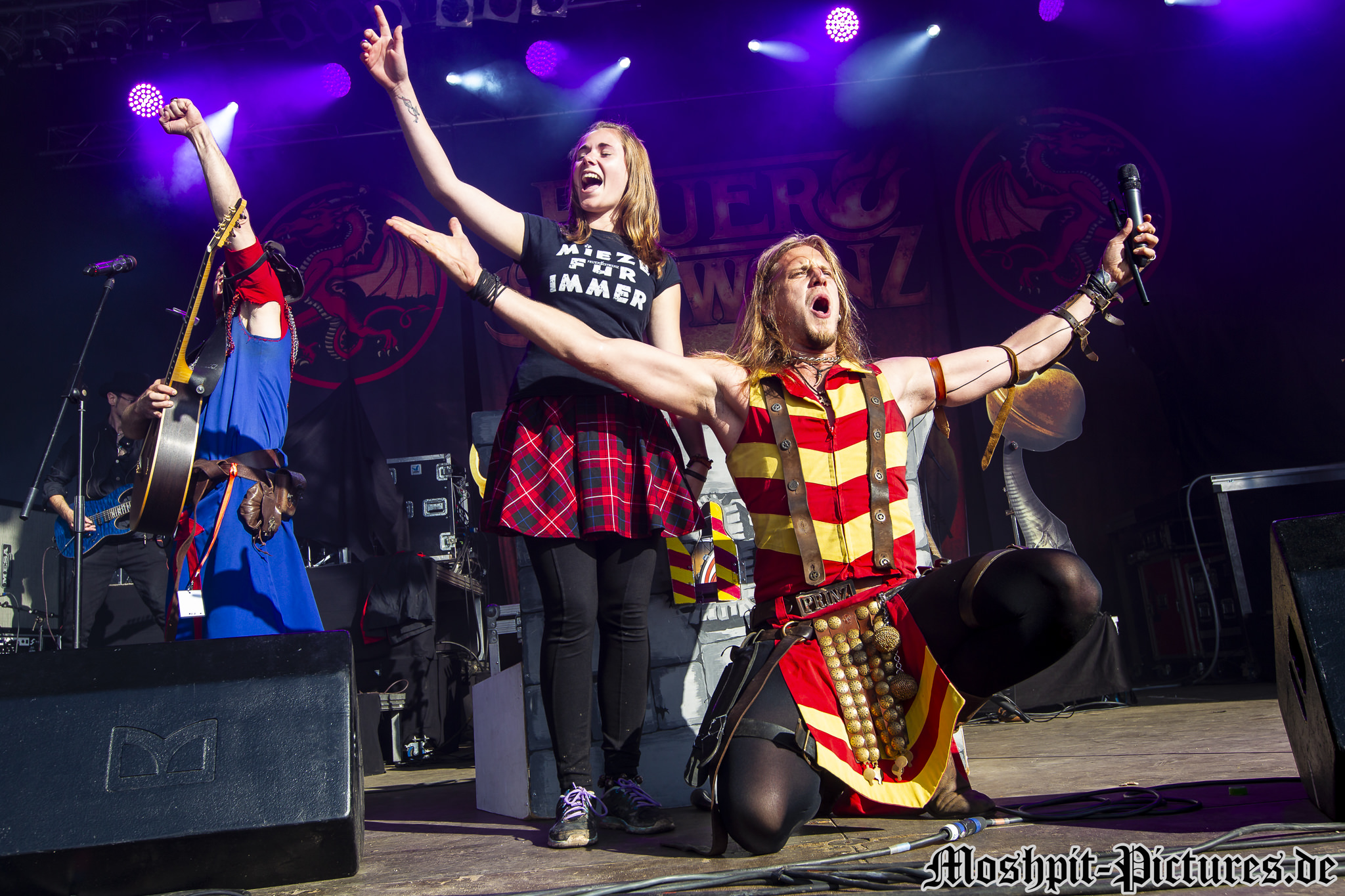 feuertanz-festival-2015-Feuerschwanz-373