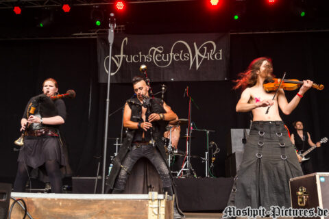 Fuchsteufelswild