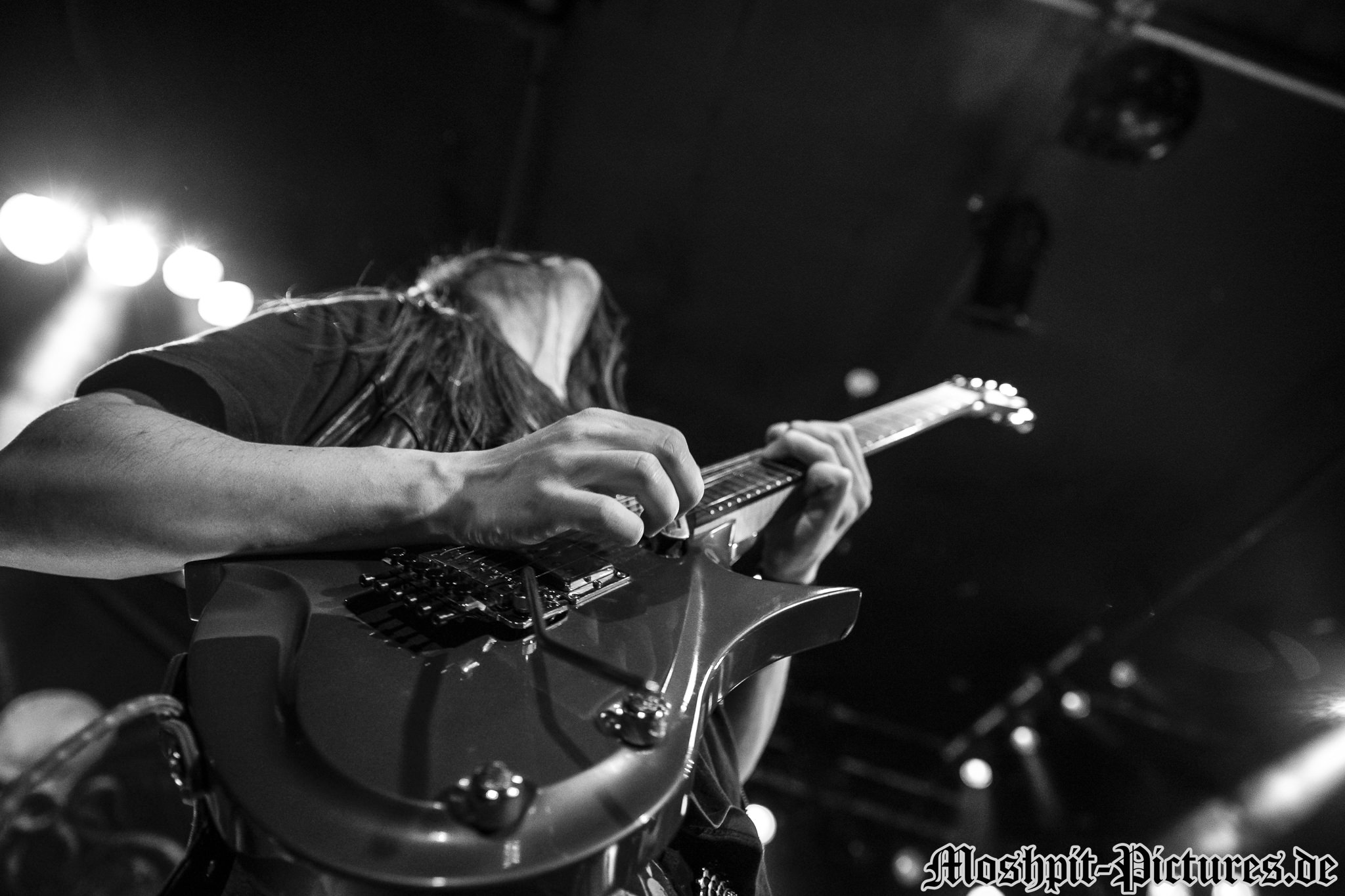 Gloryful-Der-Hirsch-130217-060