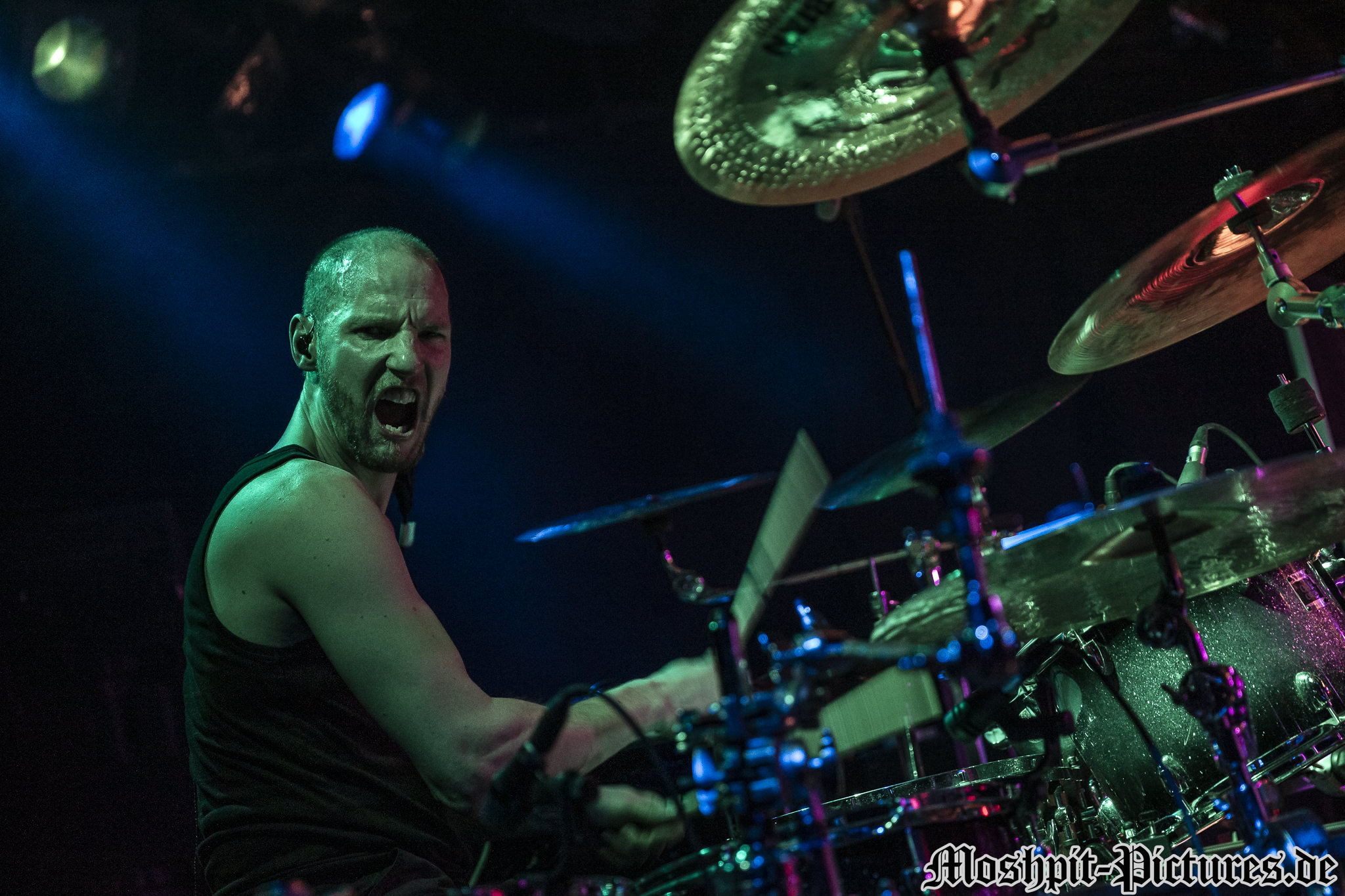 Gloryful-Der-Hirsch-130217-144