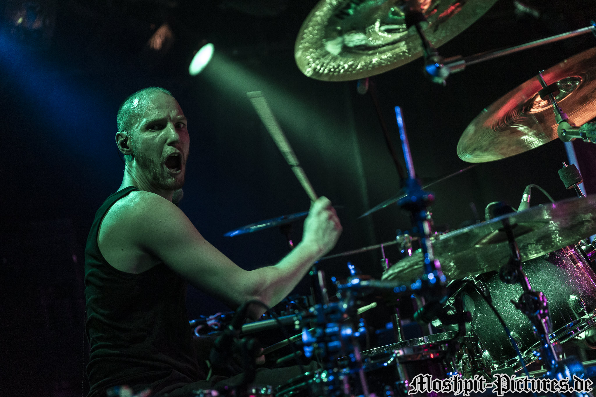 Gloryful-Der-Hirsch-130217-147