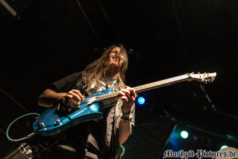 Gloryful-Der-Hirsch-130217-006