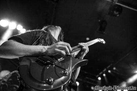 Gloryful-Der-Hirsch-130217-060