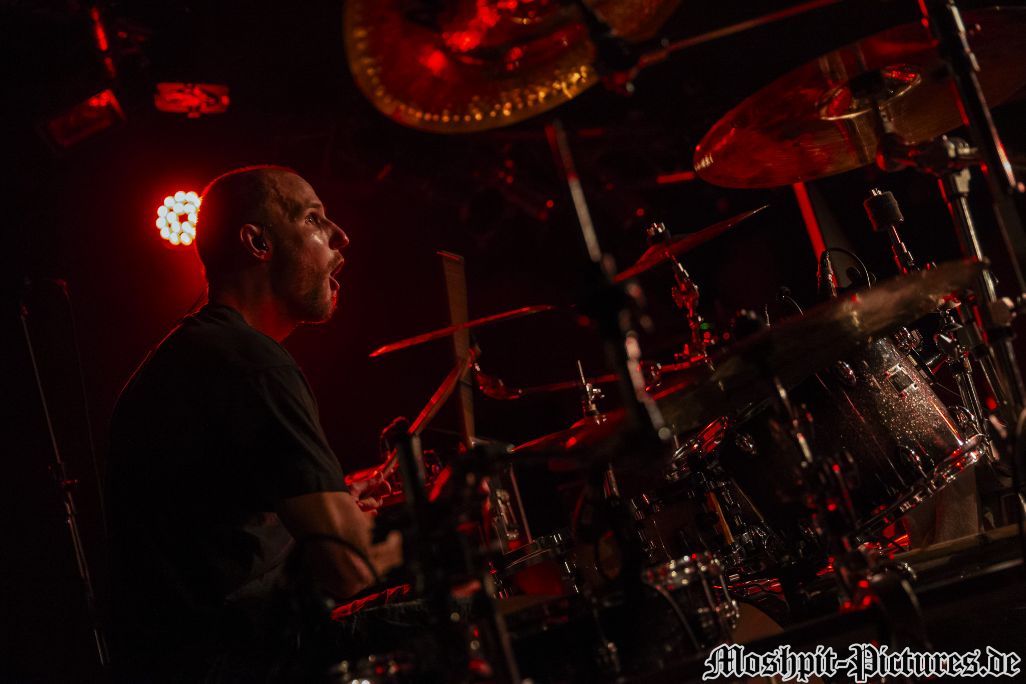 Gloryful-Kubana-160217-251
