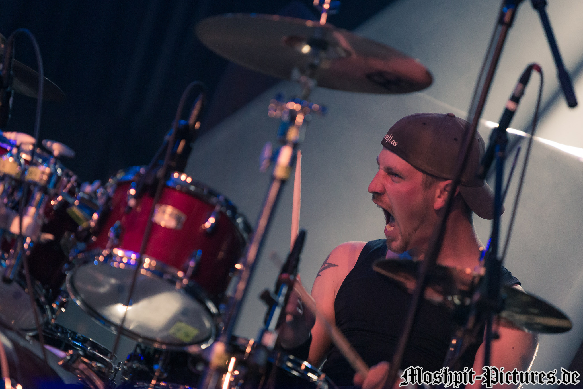 foodrock-festival-2017-Grenzenlos-096