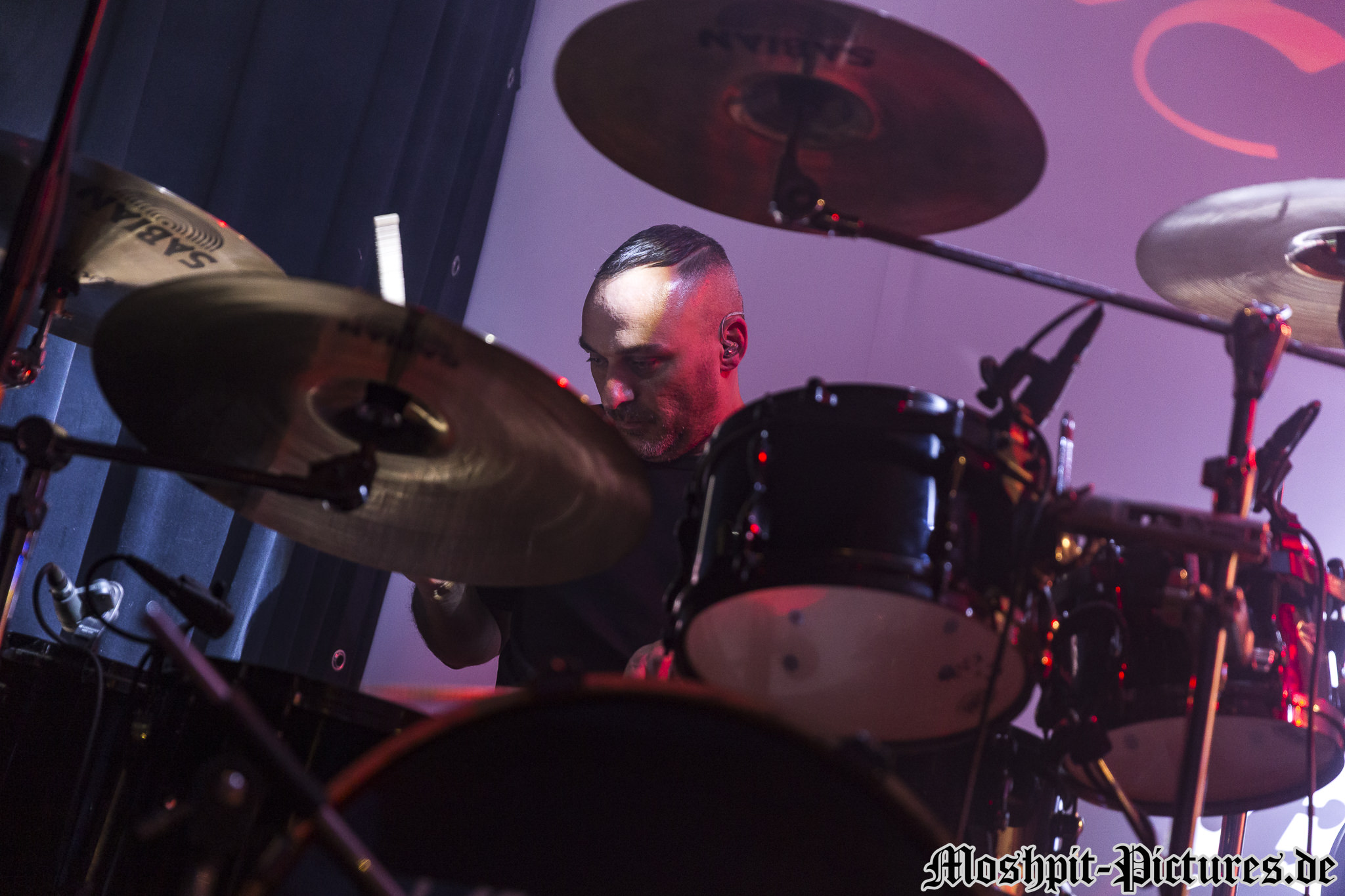 rose-and-crown-festival-2017-Haggard-0033