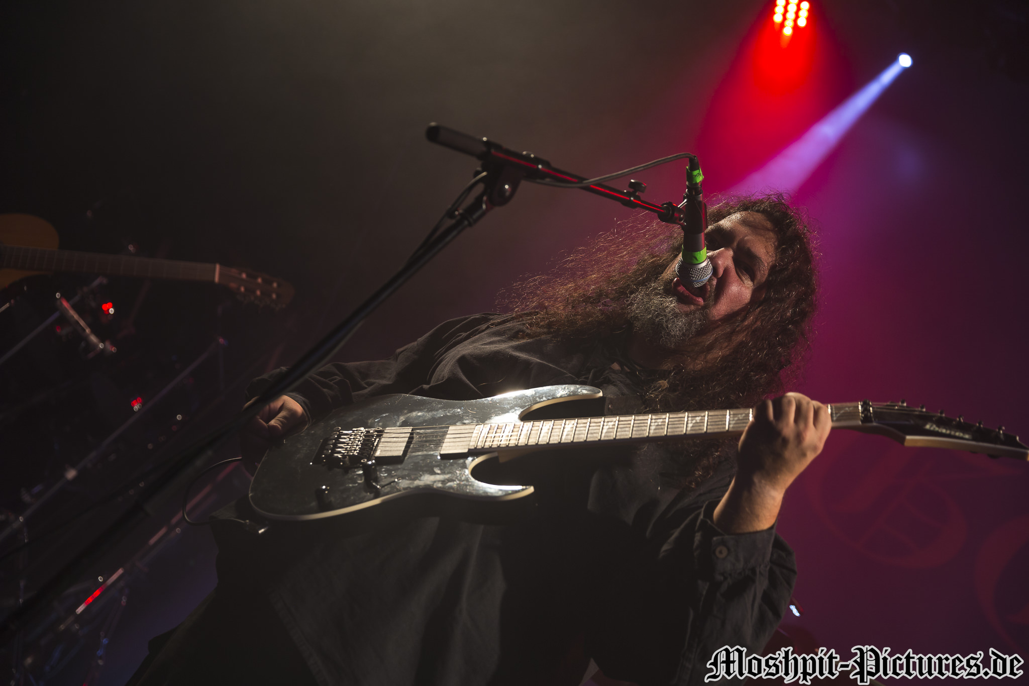 rose-and-crown-festival-2017-Haggard-0116