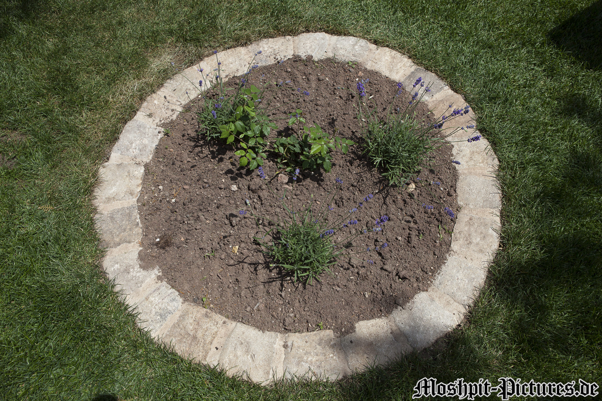 feuertanz-festival-2011-Impressionen-16