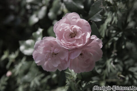 Impressionen_FT11_15