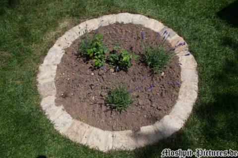 Impressionen_FT11_16