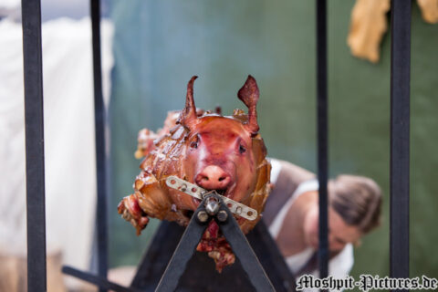 Impressionen_FT2015_09