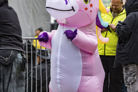 Impressionsfoto - Feuertanz Festival 2026