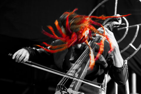 LetzteInstanz_FT2012_14