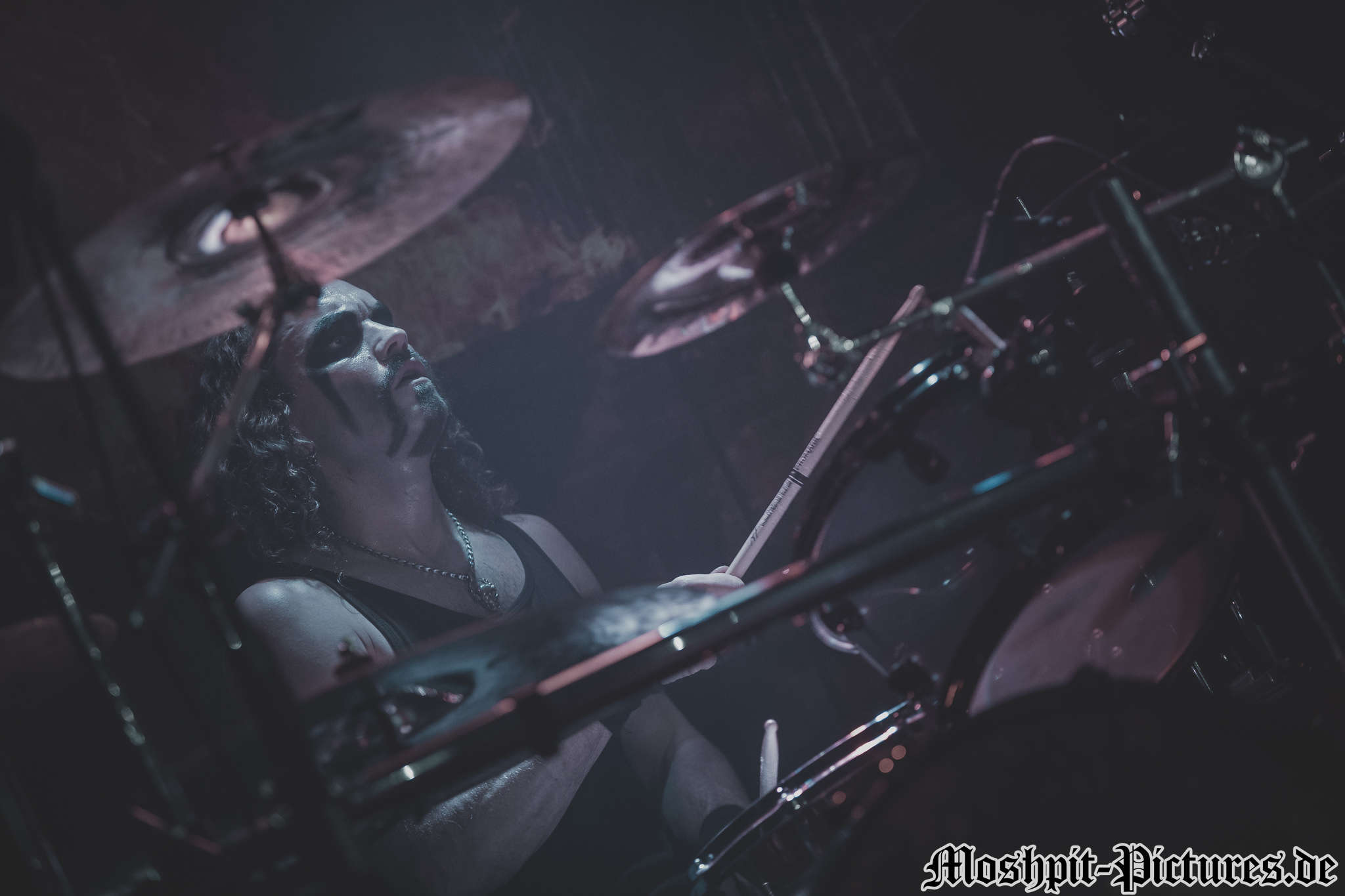 immortals-tour-2017-Manimal-405