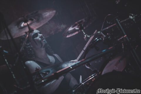 immortals-tour-2017-Manimal-405