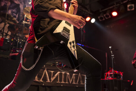 Manimal-JuZ-020416-183