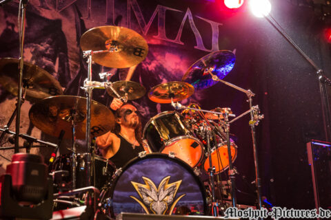 Manimal_Andernach2016_193