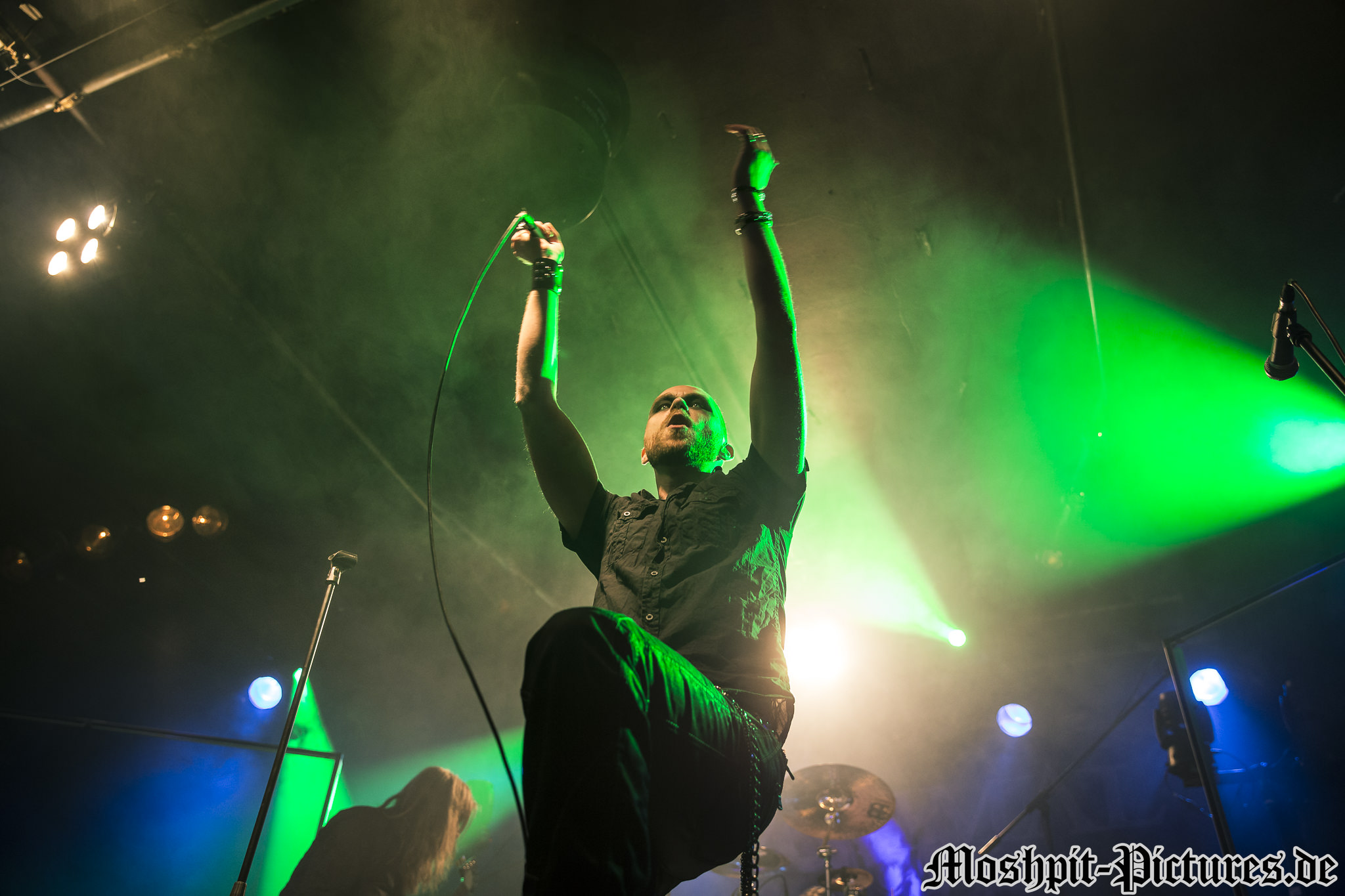 Manimal-Der-Hirsch-220316-001