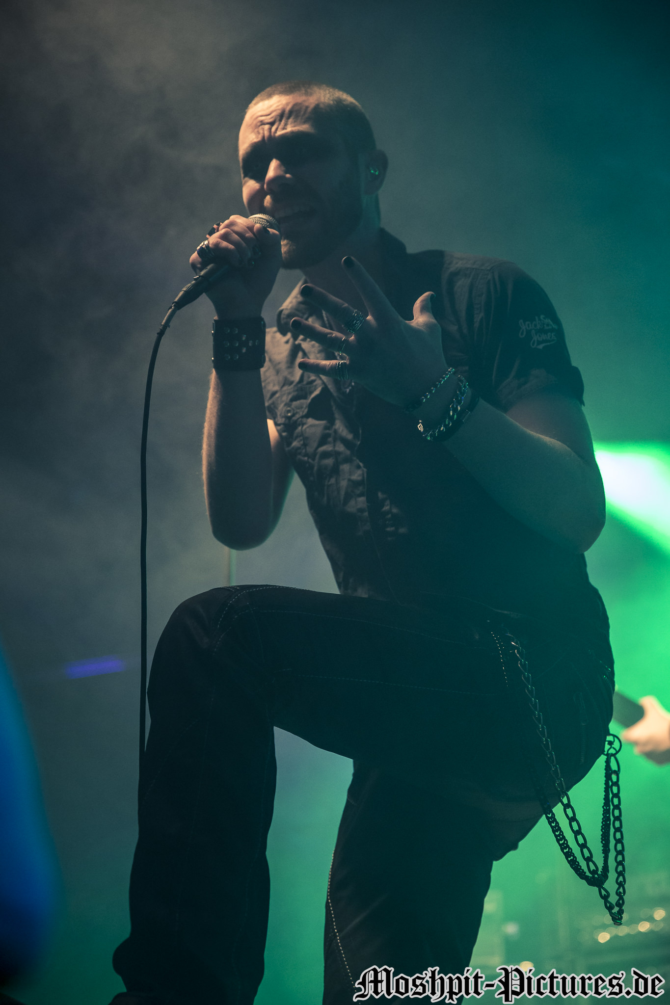 Manimal-Der-Hirsch-220316-018