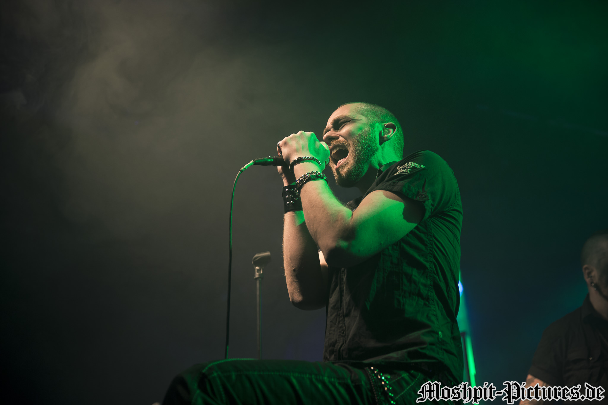 Manimal-Der-Hirsch-220316-022