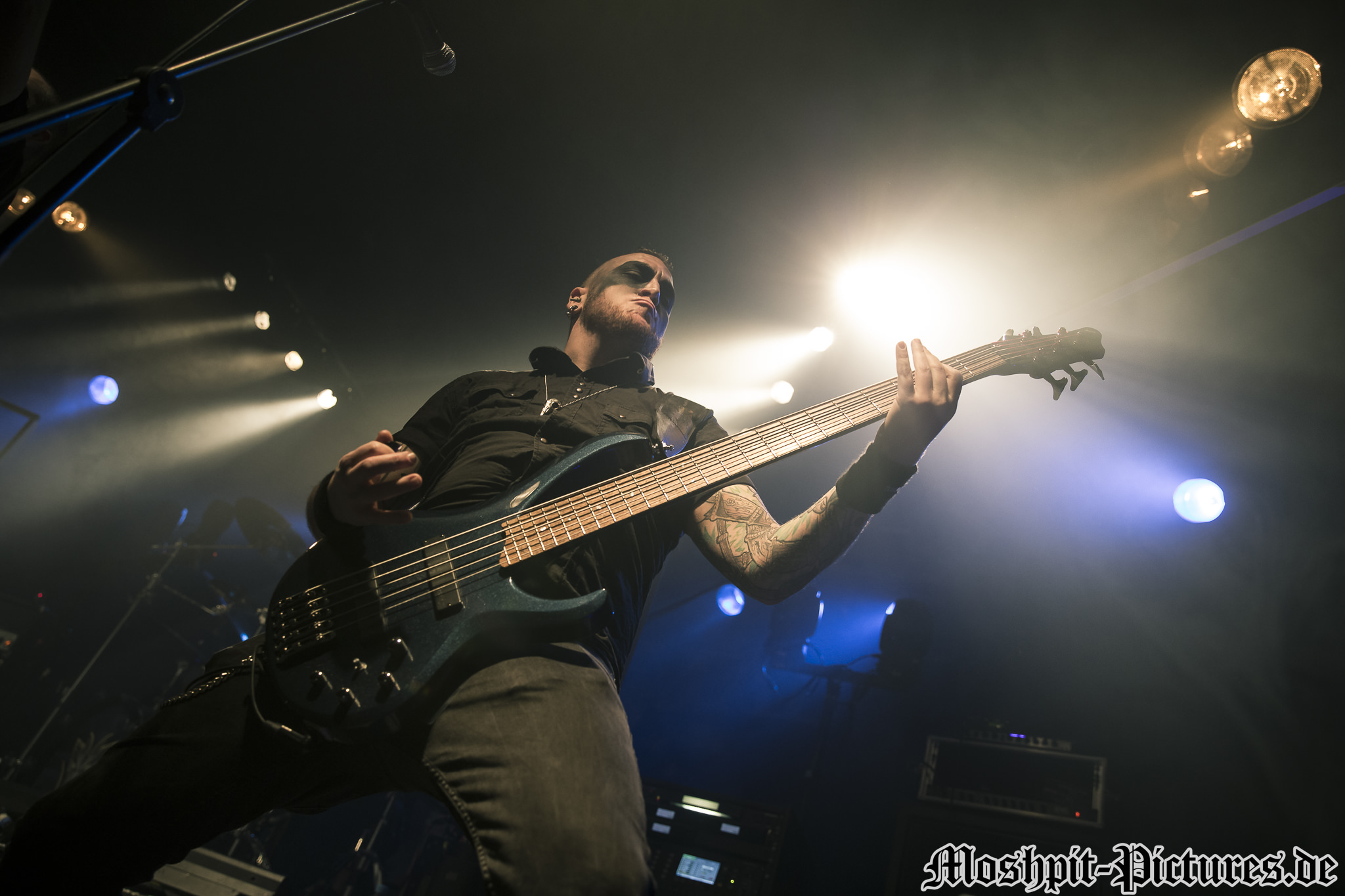 Manimal-Der-Hirsch-220316-031