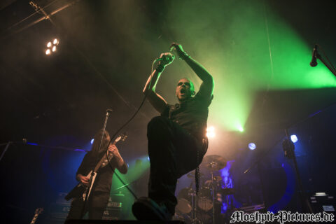 Manimal-Der-Hirsch-220316-004