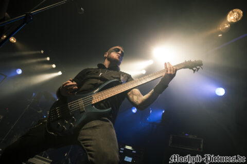 Manimal-Der-Hirsch-220316-031