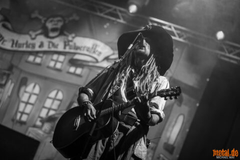 Mr. Hurley und die Pulveraffen auf dem Summer Breeze Open Air 2018