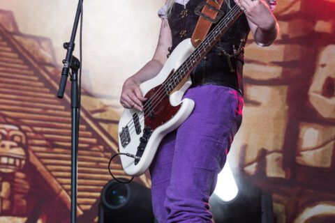 Mr. Hurley und die Pulveraffen