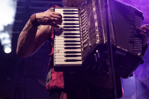 Mr. Hurley und die Pulveraffen