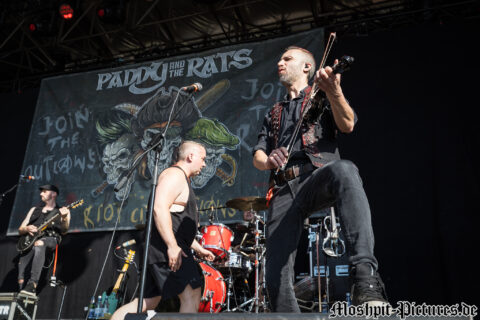Paddy & The Rats