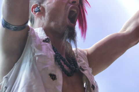 SaltatioMortis_FT2013_03