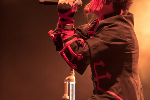 SaltatioMortis_FT2015_04