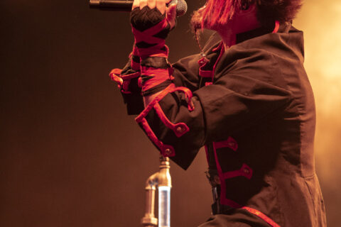 feuertanz-festival-2015-Salatio-Mortis-200