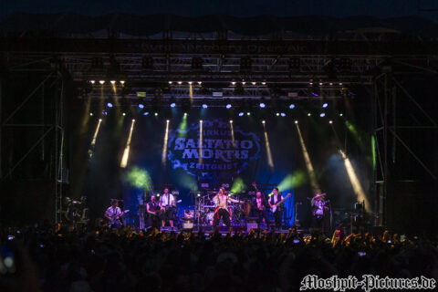 feuertanz-festival-2017-Saltatio-Mortis-029