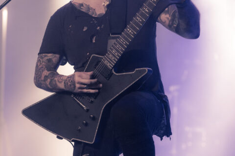 foodrock-festival-2017-Serenity-074