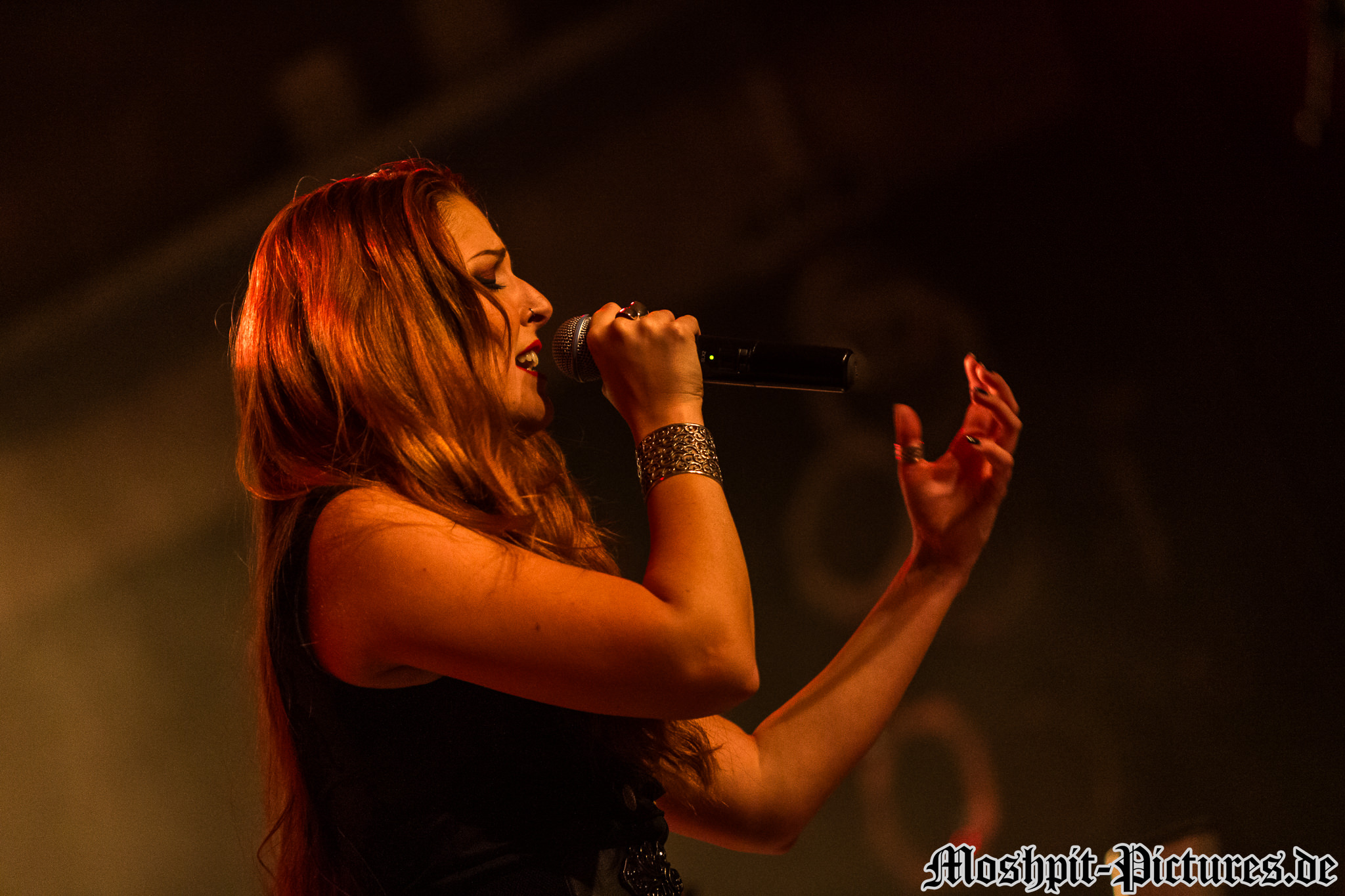 Konzertfotos von Sound Storm auf der Bards of Symphony and Metal Tour 2018
