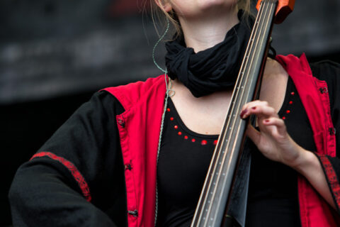 Vermaledeyt_FT2013_04